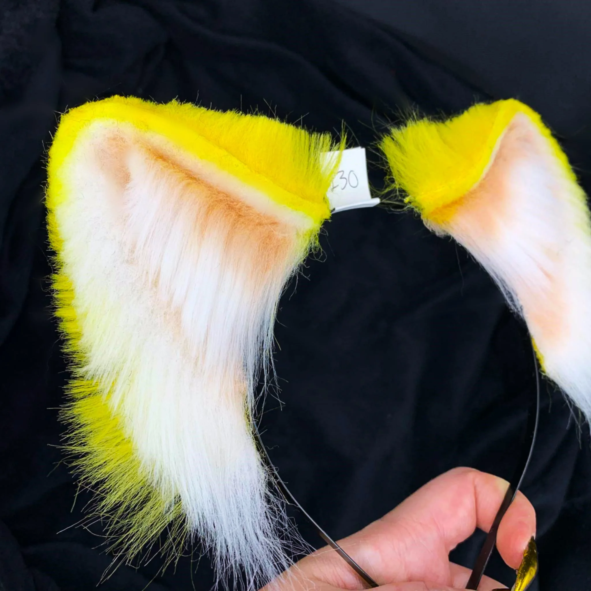 yellow wolf 2.jpg