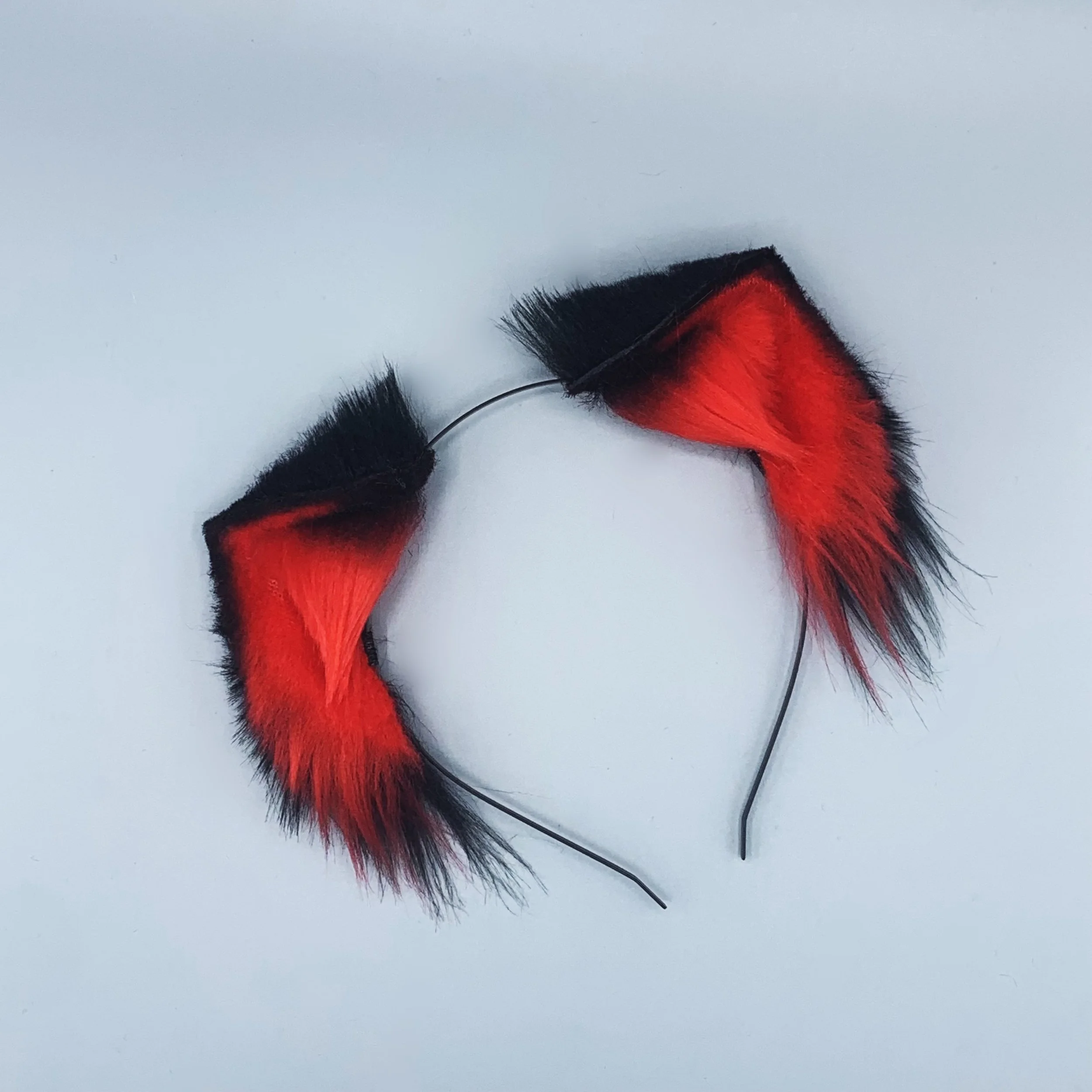 Black red kitten 1.jpg