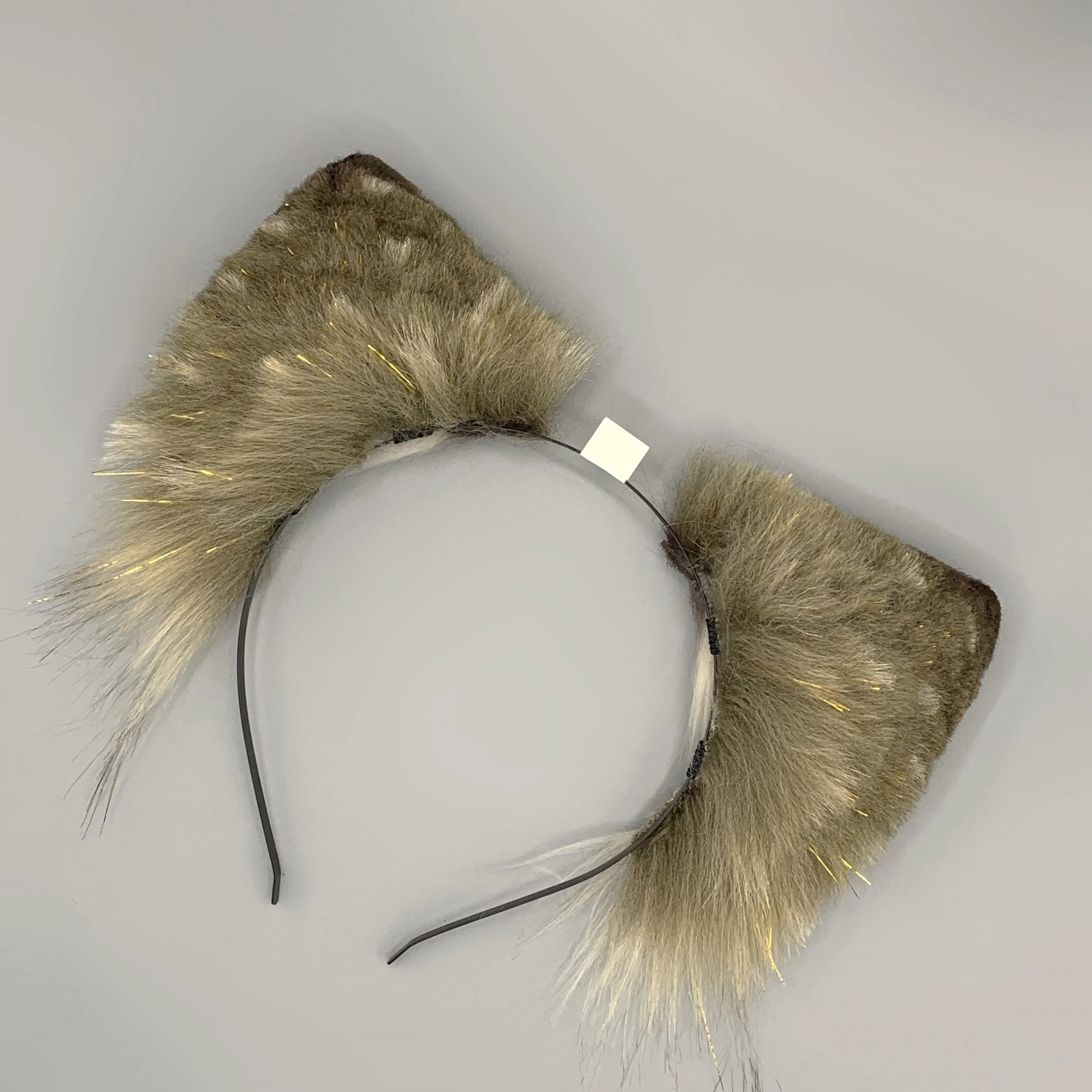 Gold Brown Wolf 2.jpg