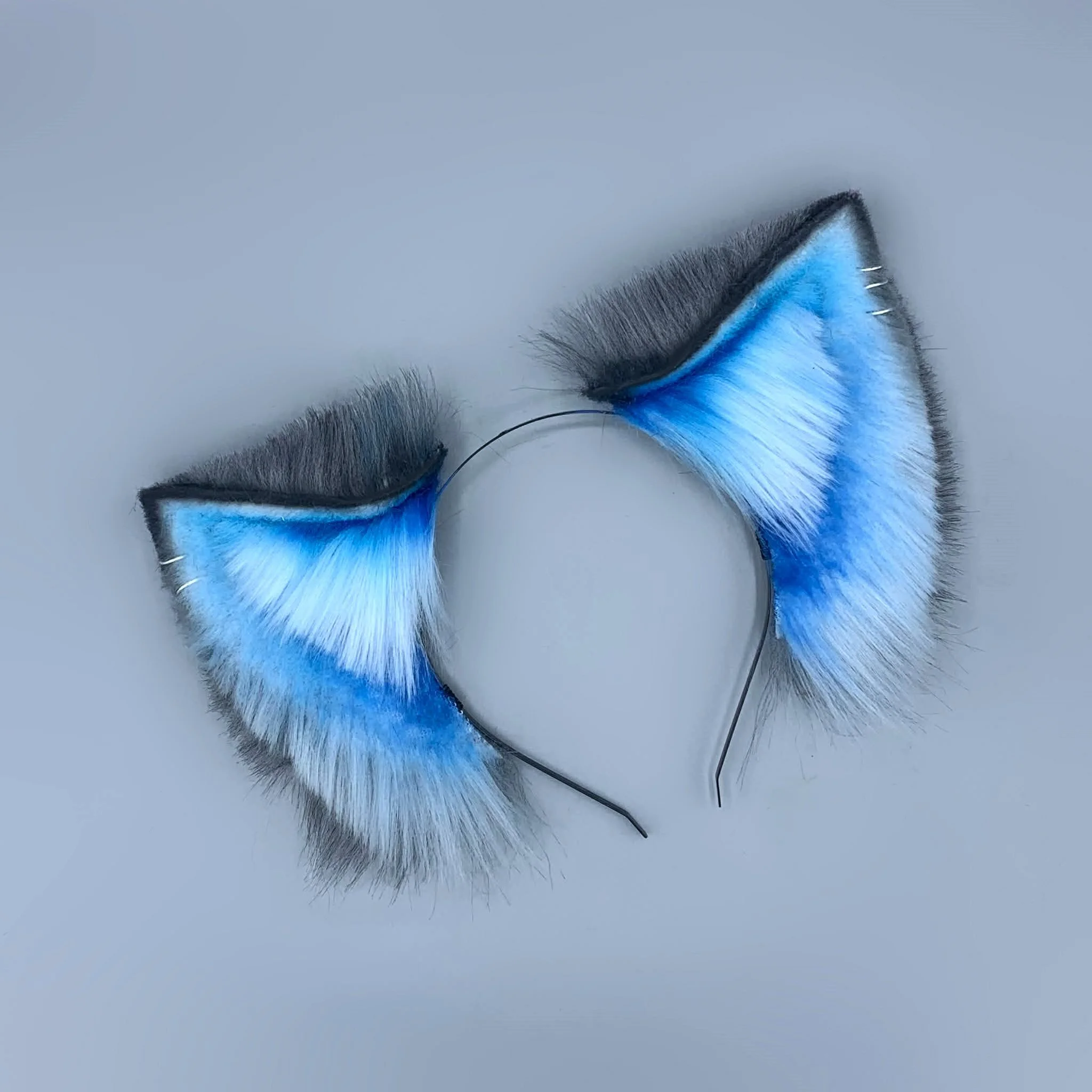 grey blue canine (1).jpg