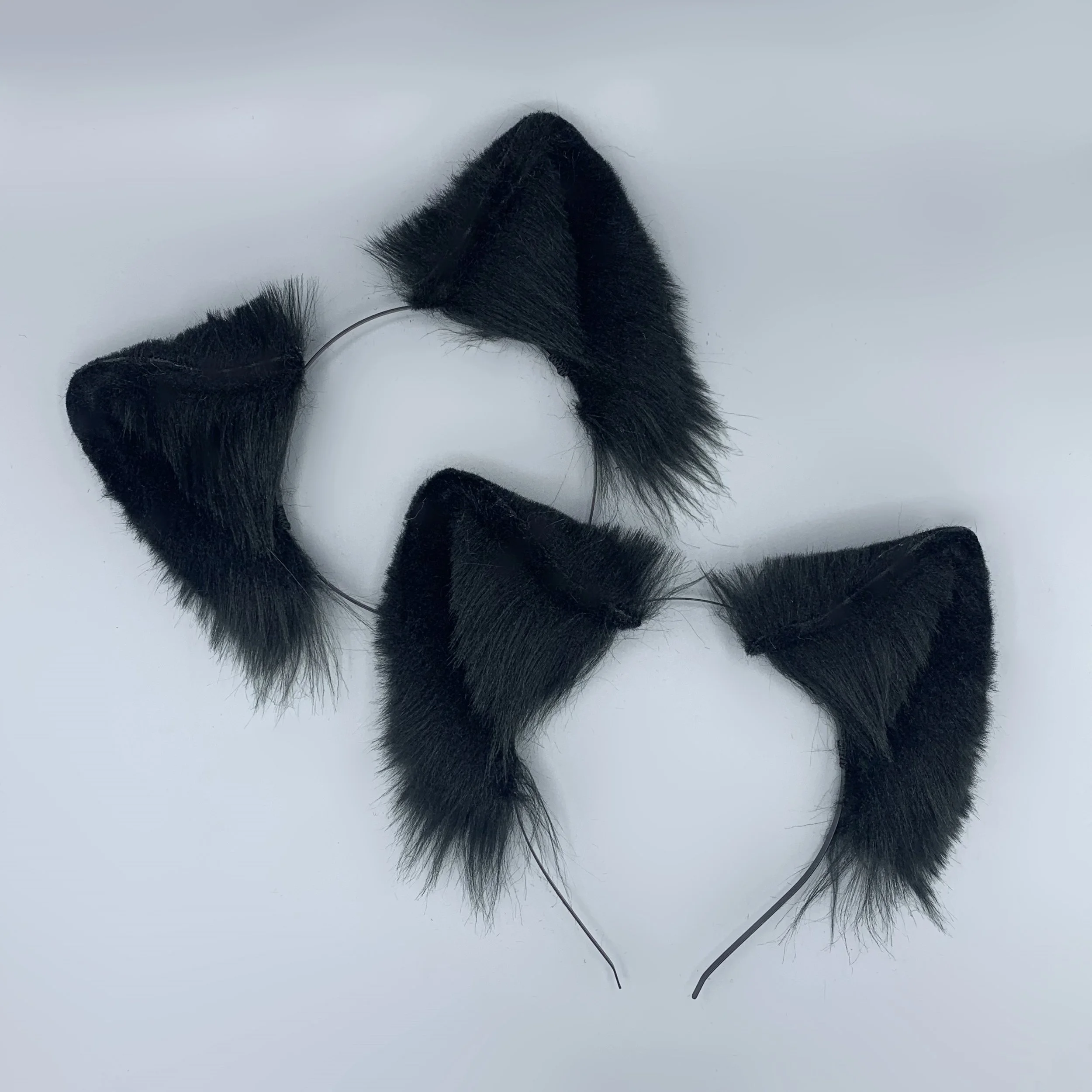 Black wolf 4.jpg