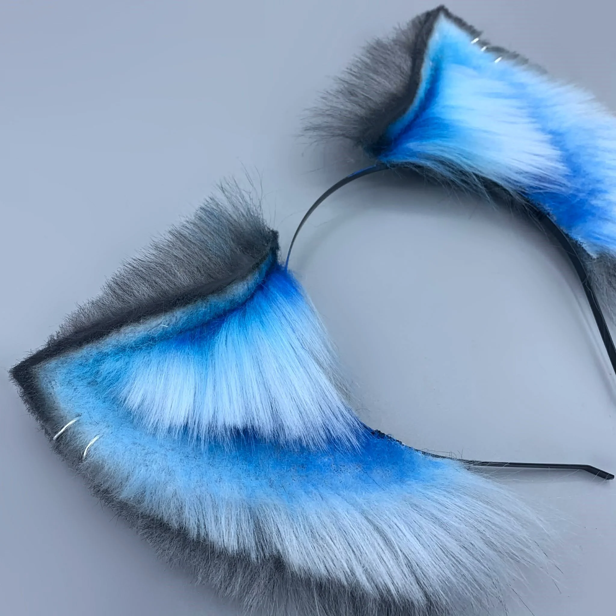 grey blue canine (4).jpg