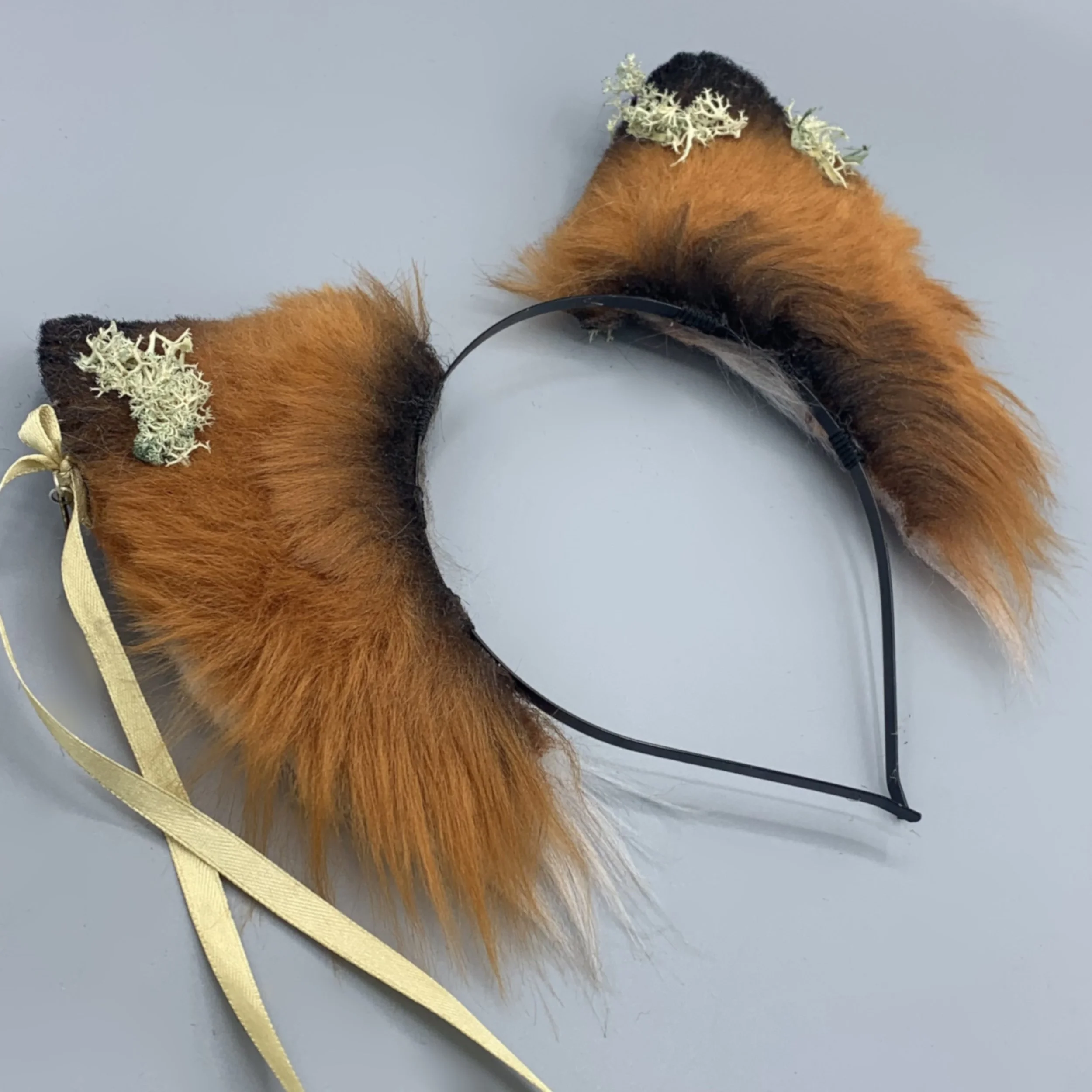 Mossy fox 4.jpg