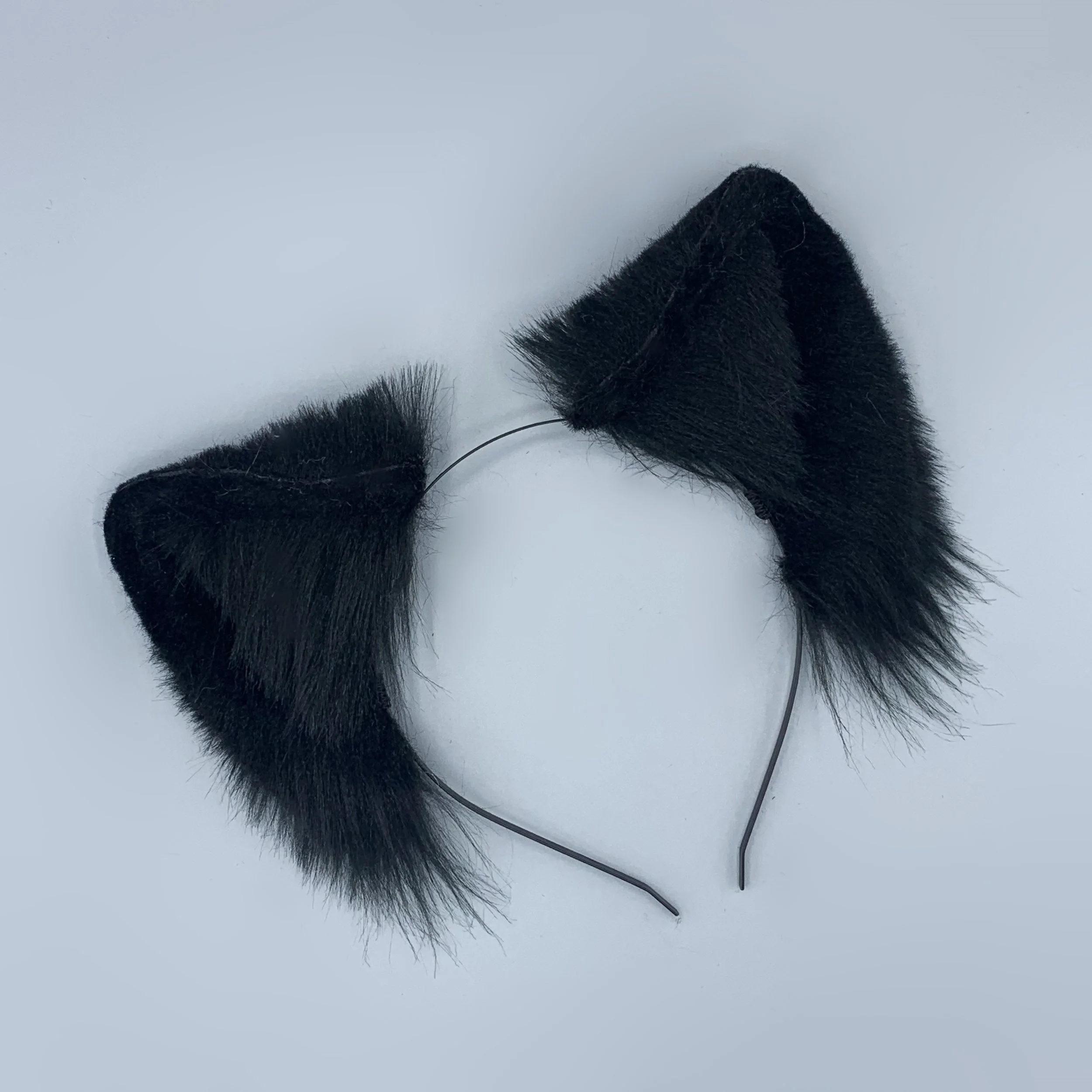 Black wolf 1.jpg
