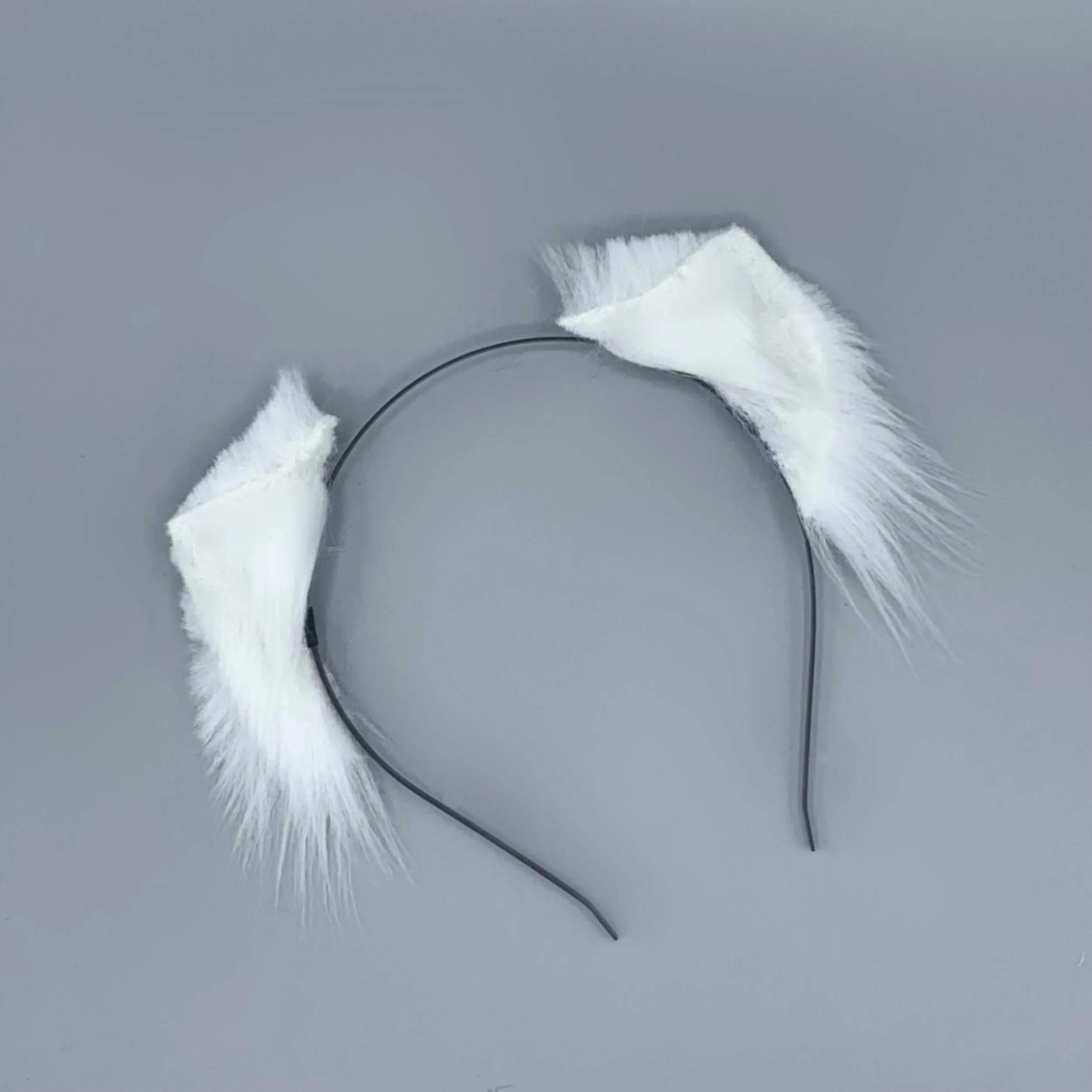 White kitten 1.jpg