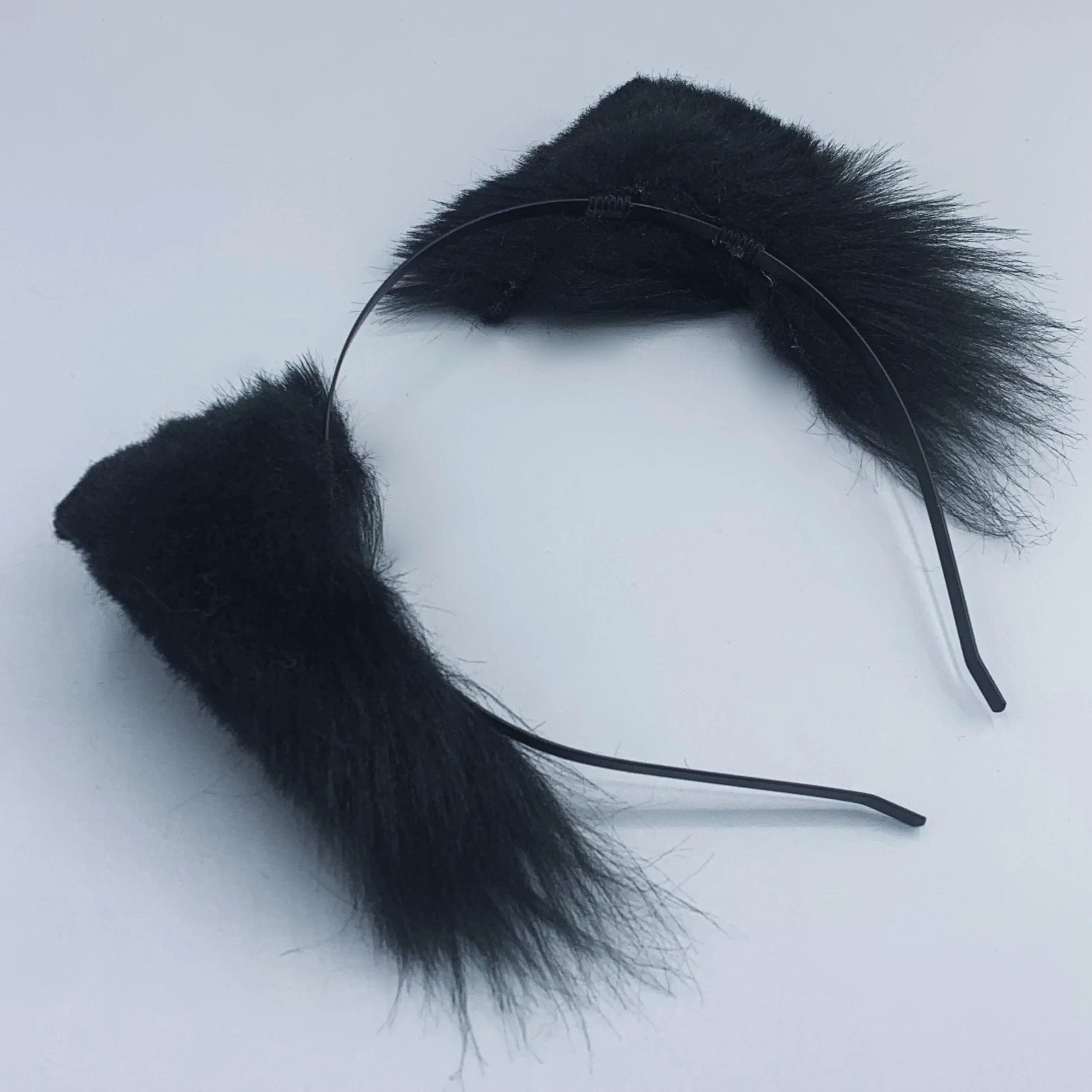 Black kitten 3.jpg