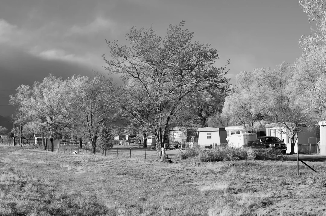 malella-6.jpg