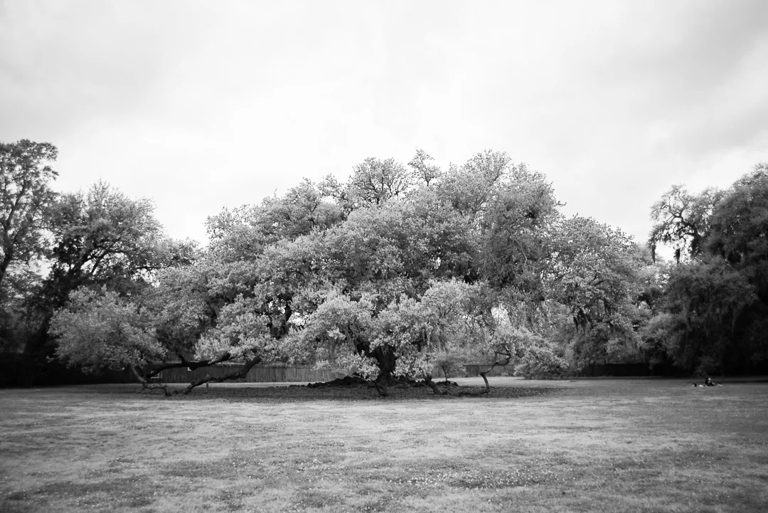 malella-8.jpg