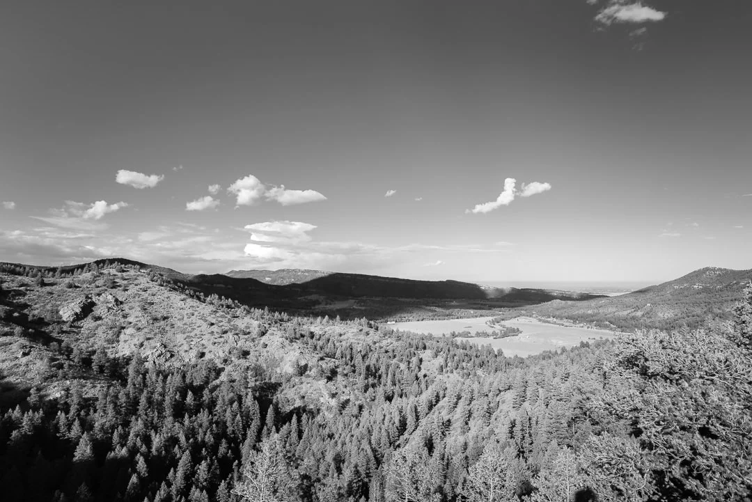 malella-15.jpg