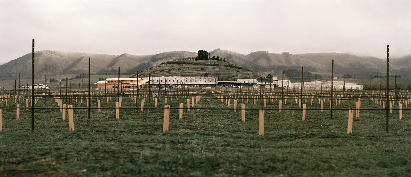 malella-3.jpg
