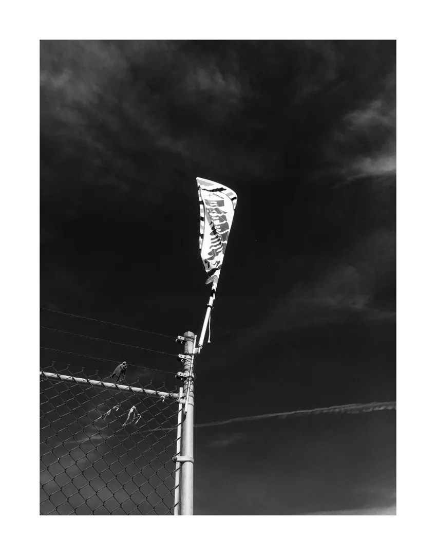 365-6.jpg