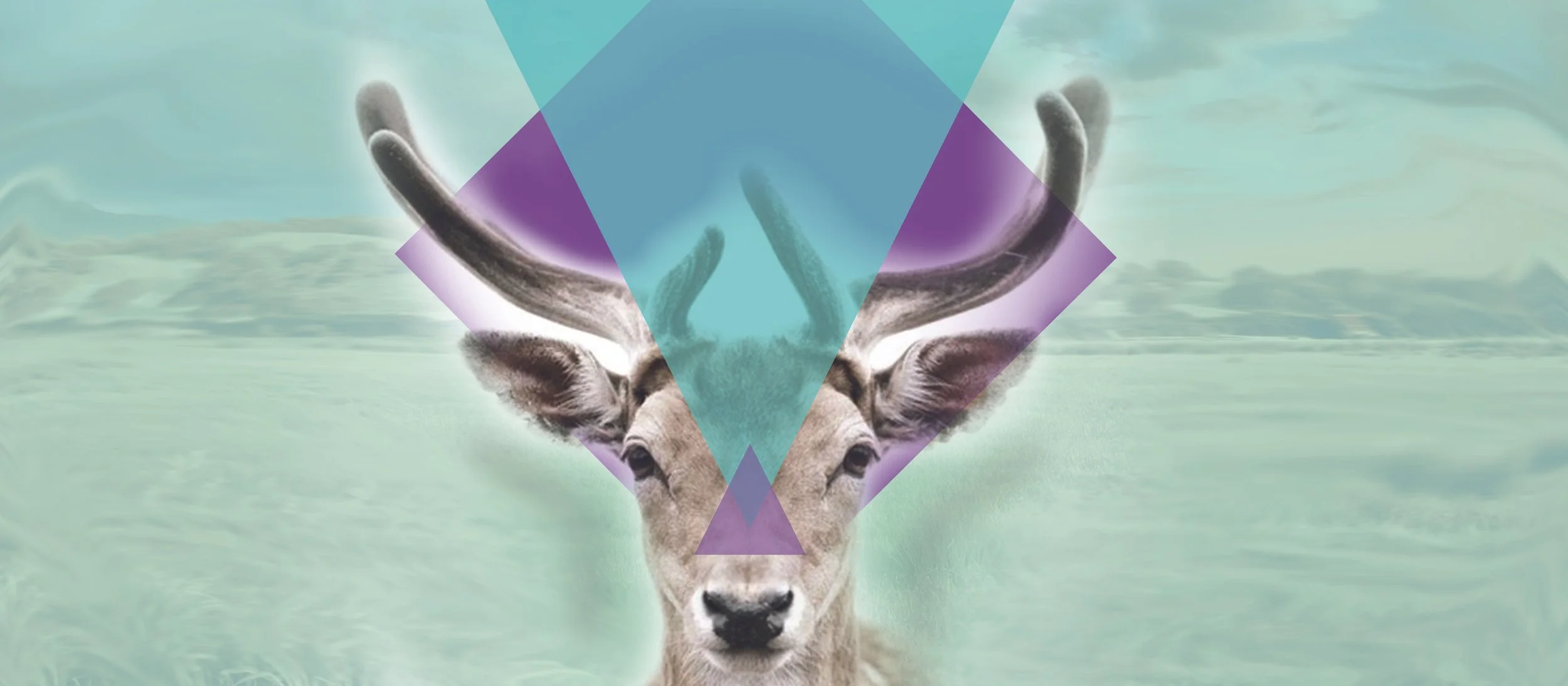 Deer_ExCorpse.jpg