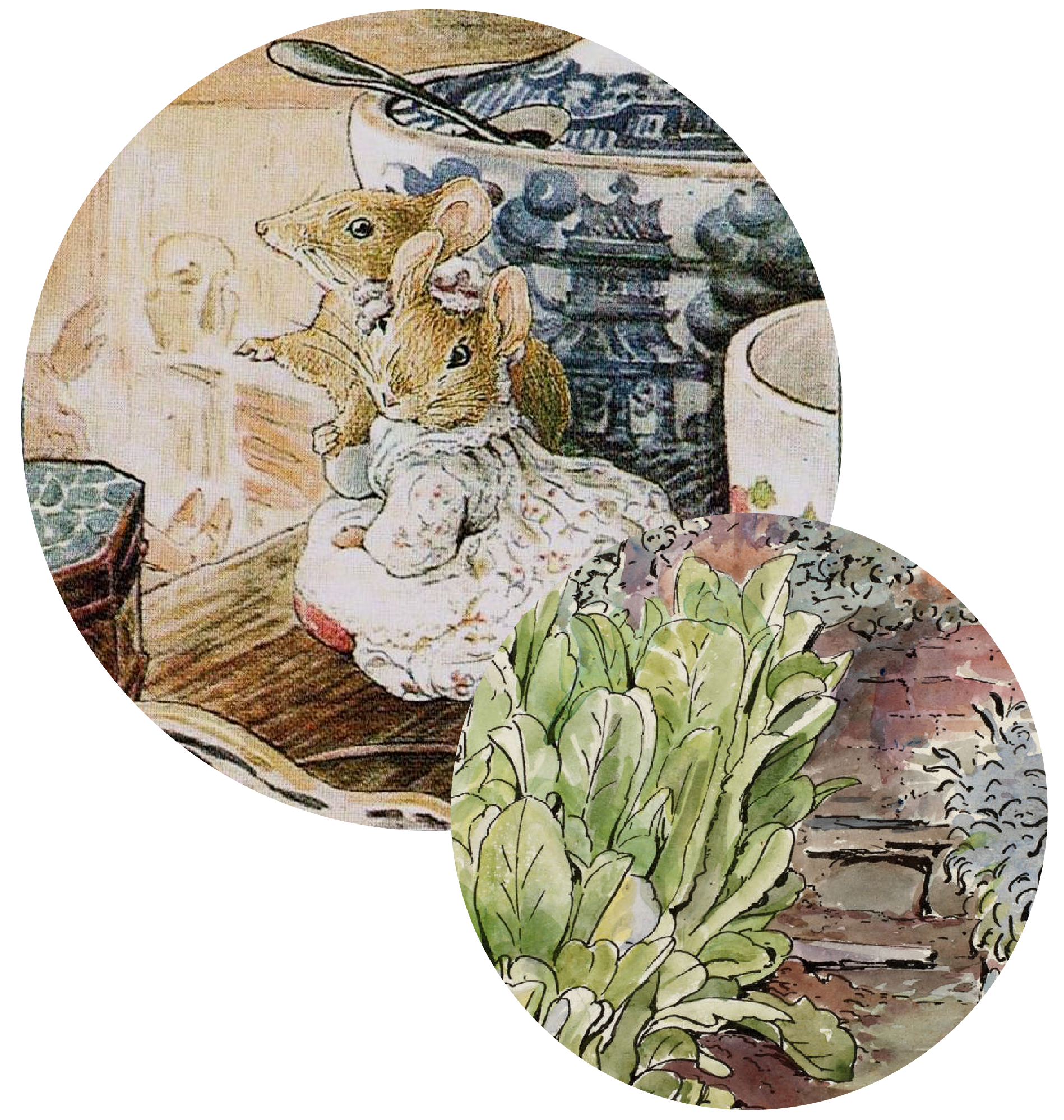 Beatrix-Potter-Picture-Books-Imaginative-Design