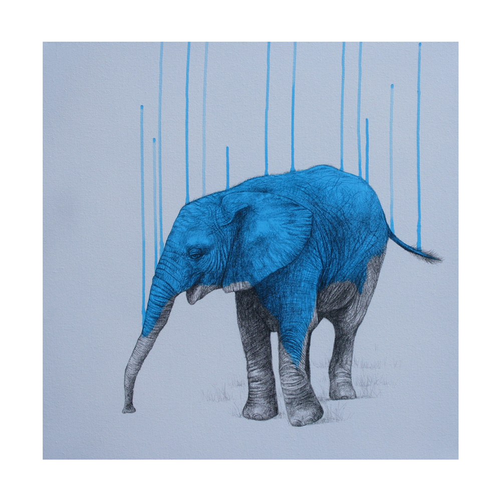 Louise McNaught.png