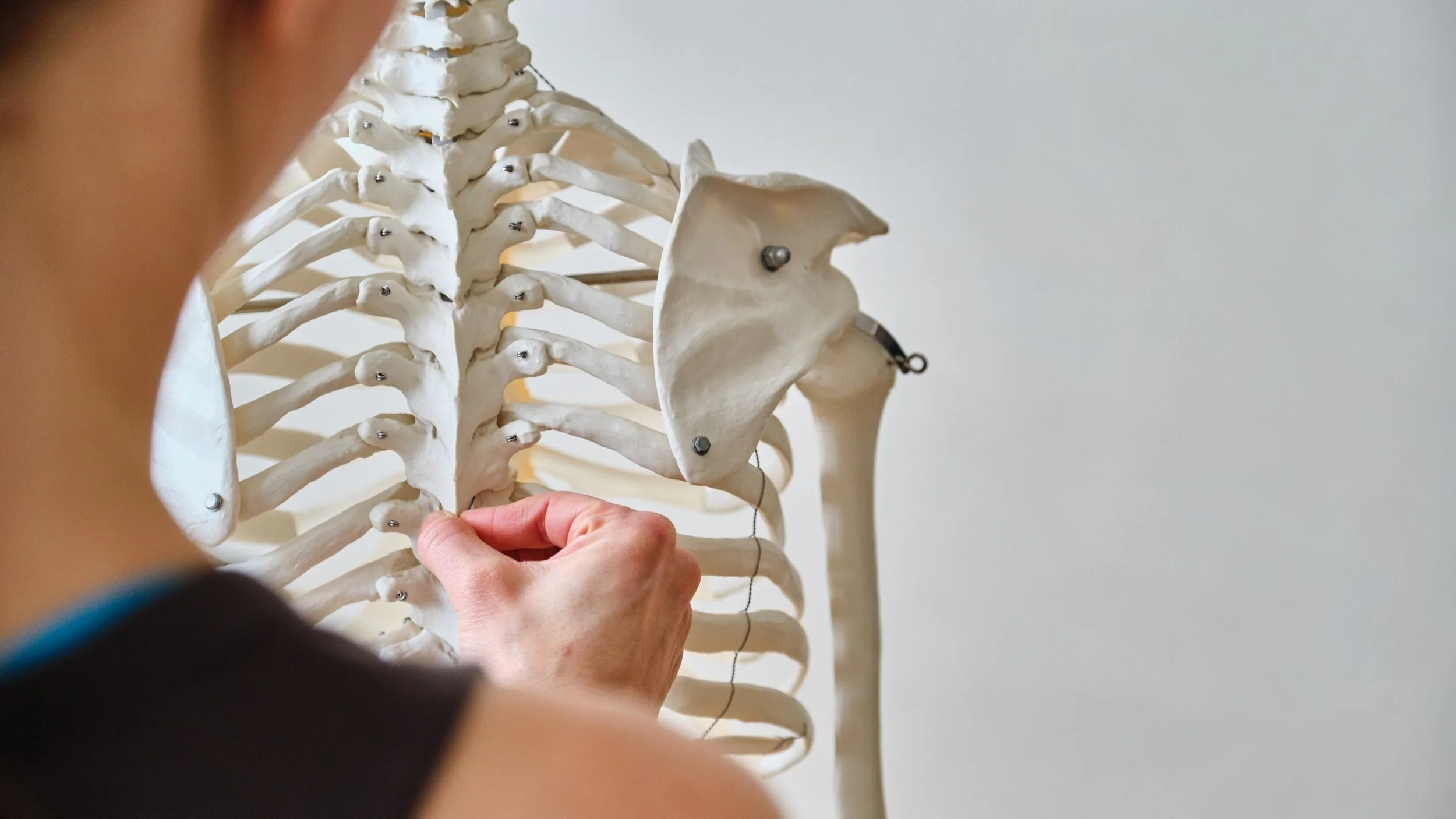 Your Creative and Coordinated Spine Feldenkrais Course