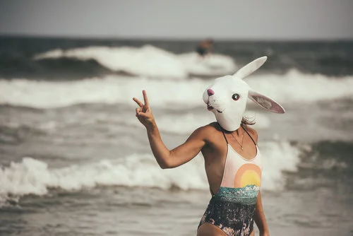 White+Rabbit+1+-+1244.jpg