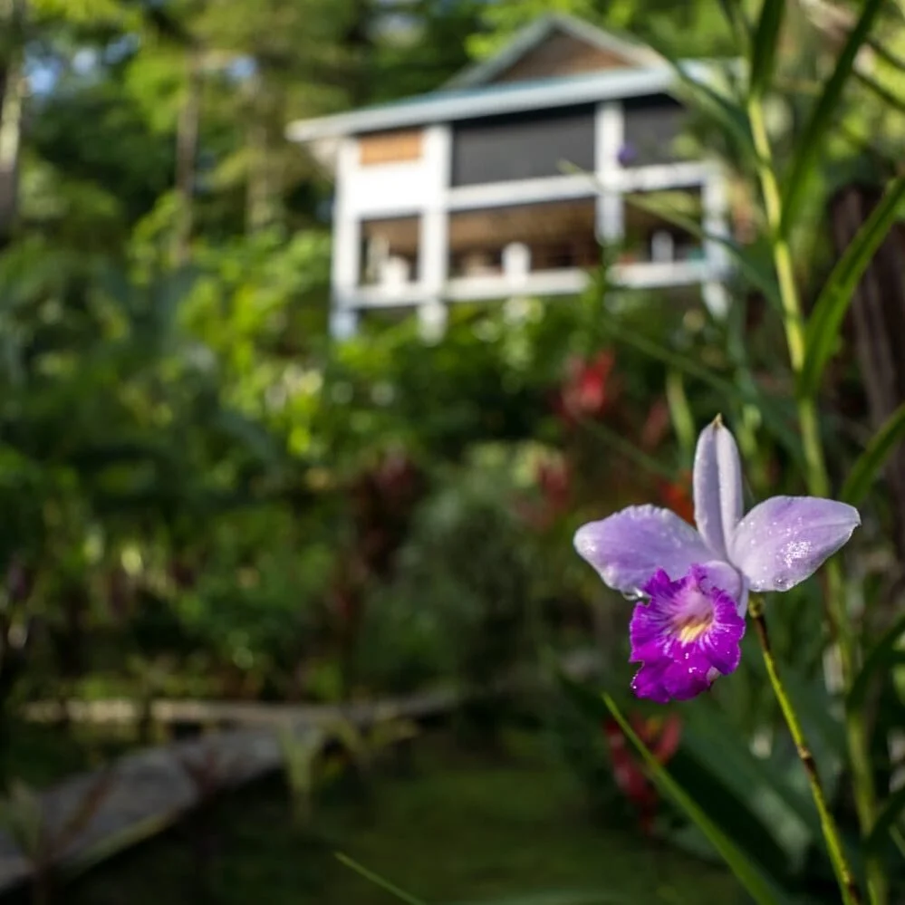 Want to come stay with us? Book with our website !! Booking through Airbnb has additional charges for both parties and by booking direct from our site you save the percentage plus a little extra 😉
.
We are all about small batch, yoga, food, and auth