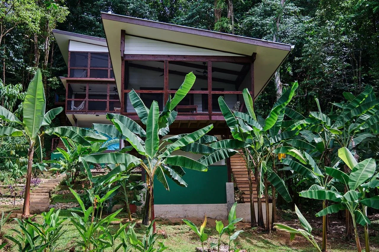 Manifestar outside.jpeg