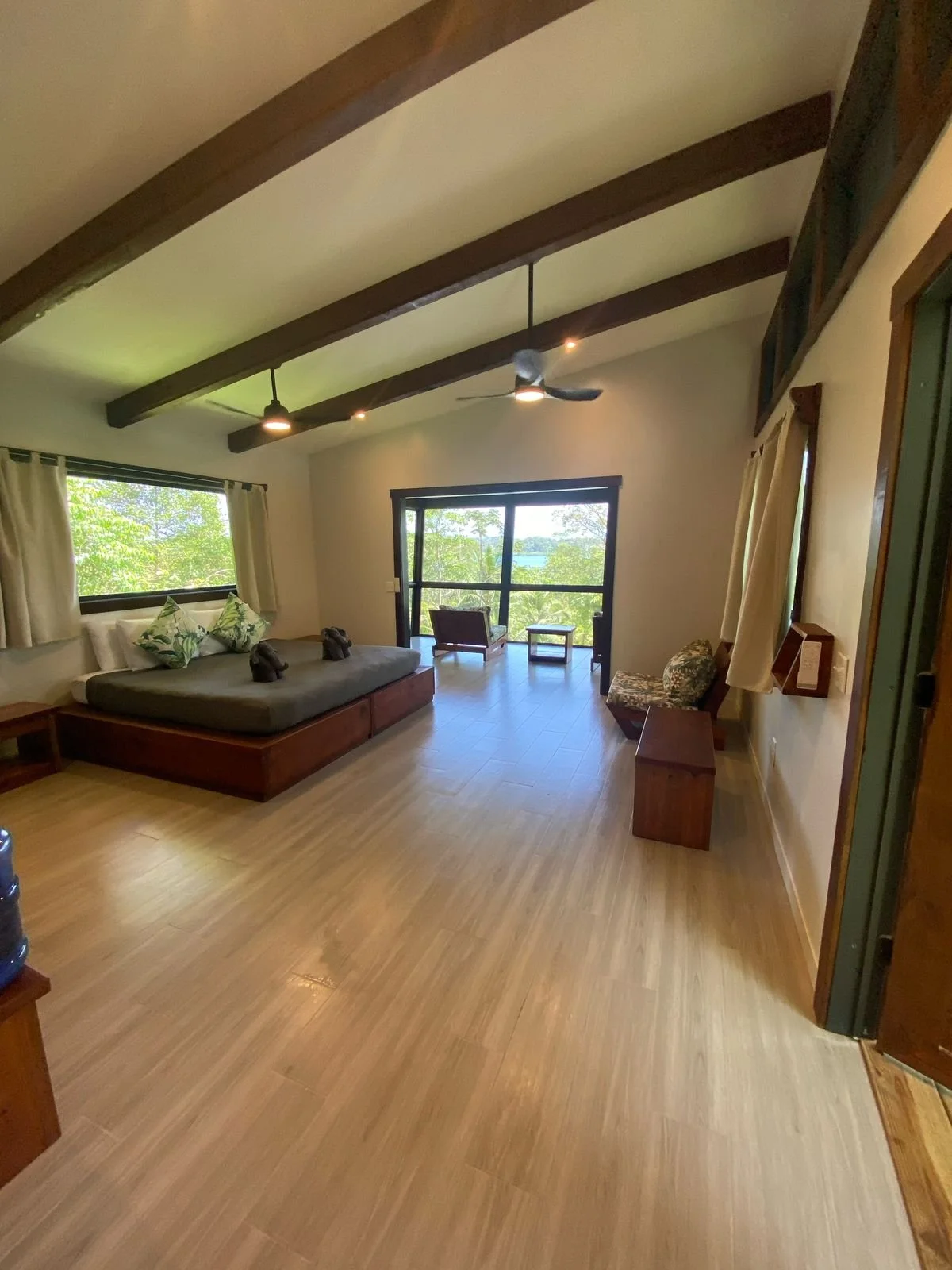 manifestar 2 long shot .jpeg