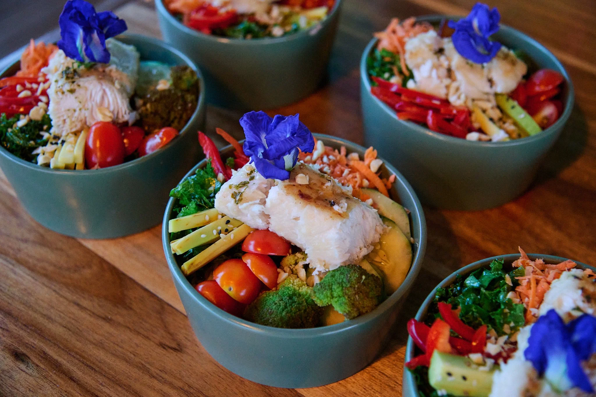 ROAM_2025_095Week 2 .jpg