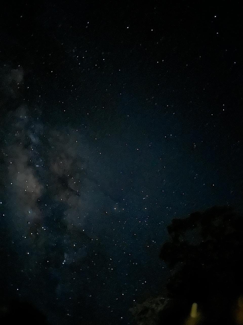 WhatsApp Image 2025-12-05 at 7.52.31 AM.jpeg