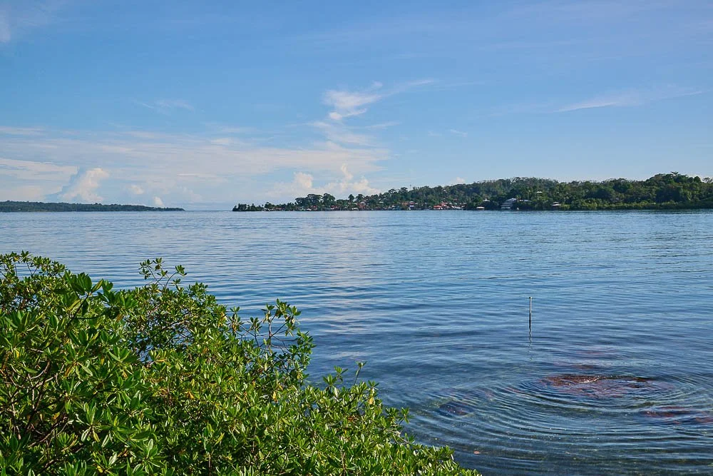 Roam Yoga Retreats-10.jpg