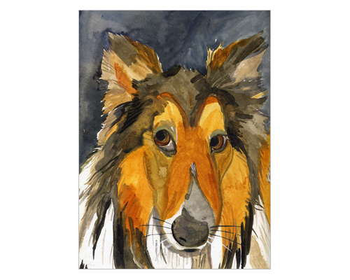 Pet Portraits 9.png