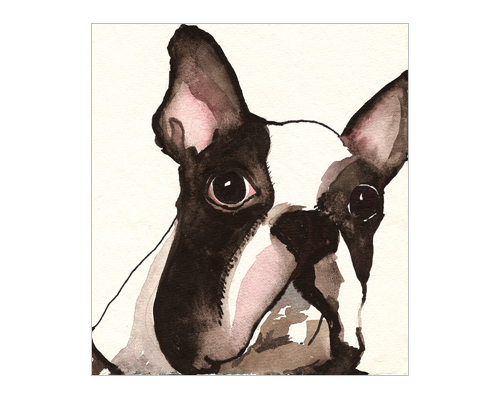 Pet Portraits 3.png