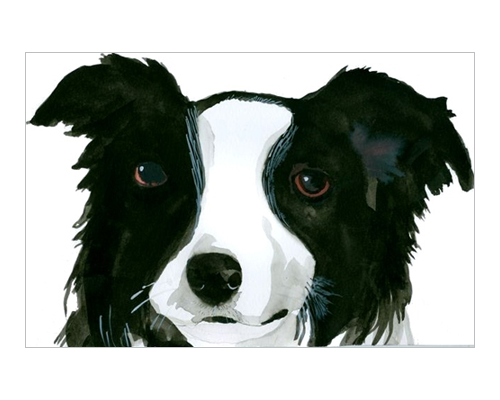 Pet Portraits 2.png