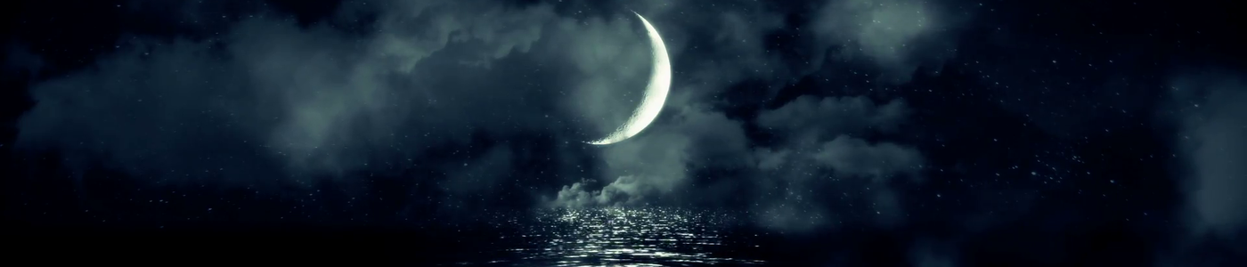 imageedit_14_7439037263.png