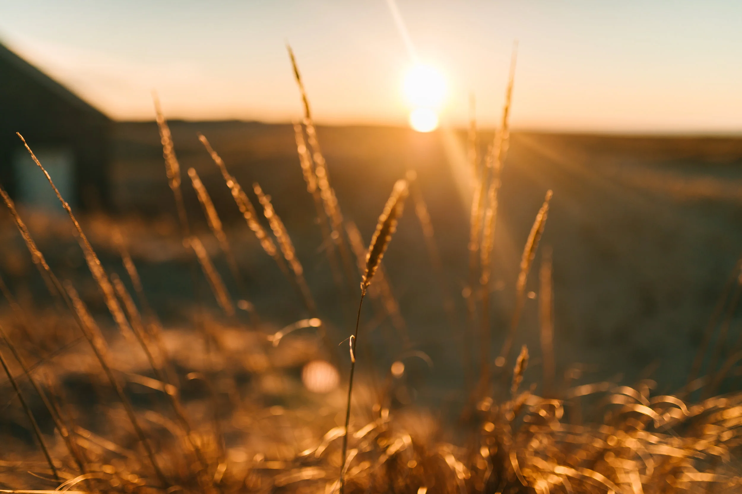 The Significance of the Resurrection