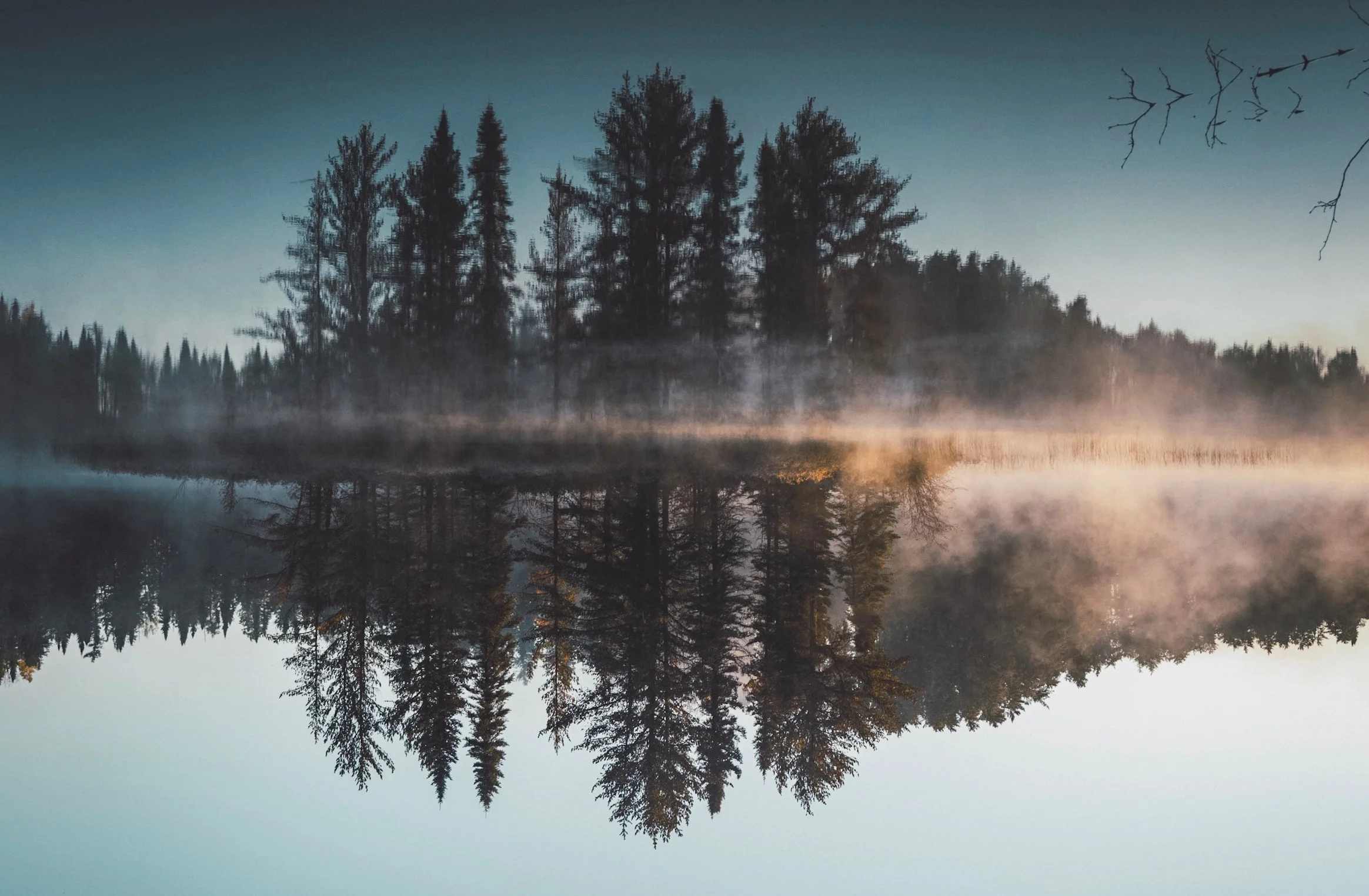 Discerning the Truth