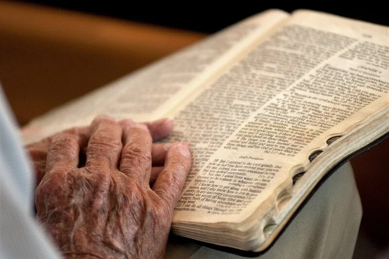 Life-long learners, 3.jpg