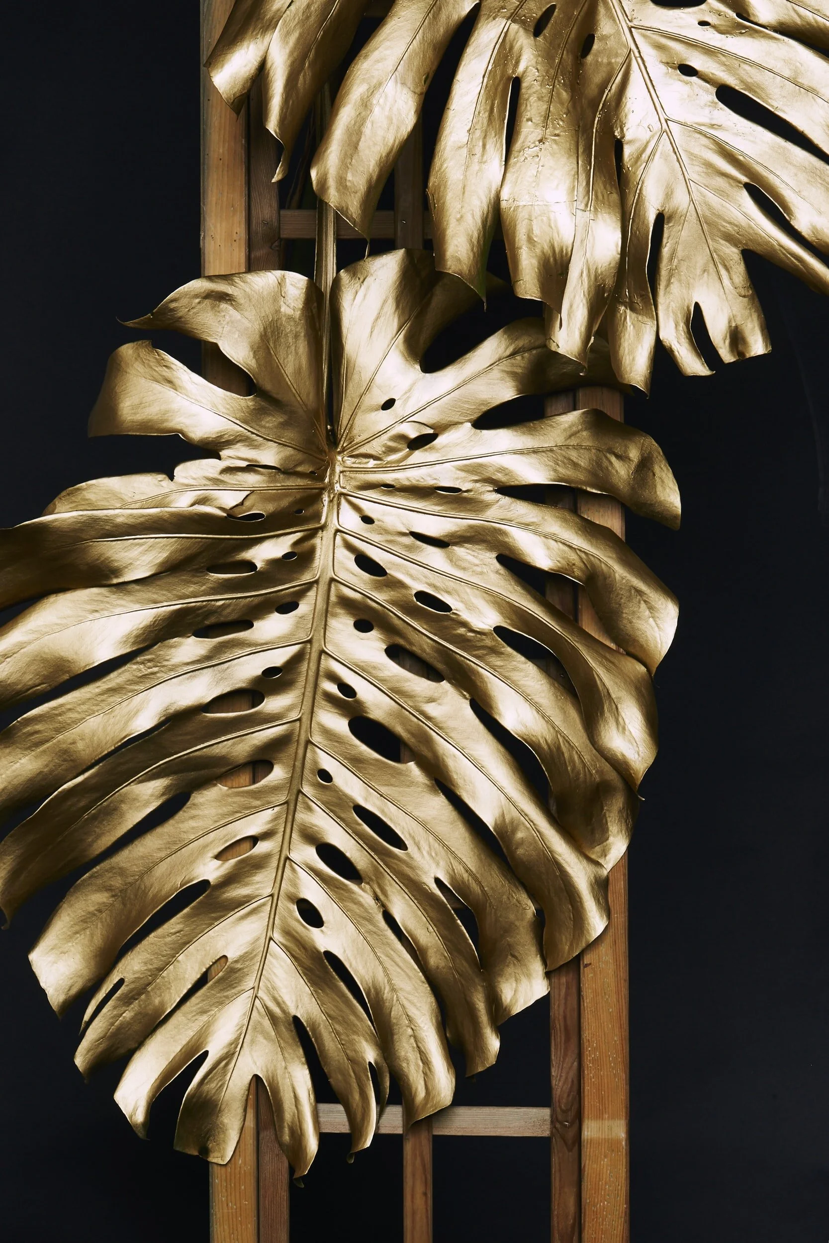 The Real Wealth Of Wisdom