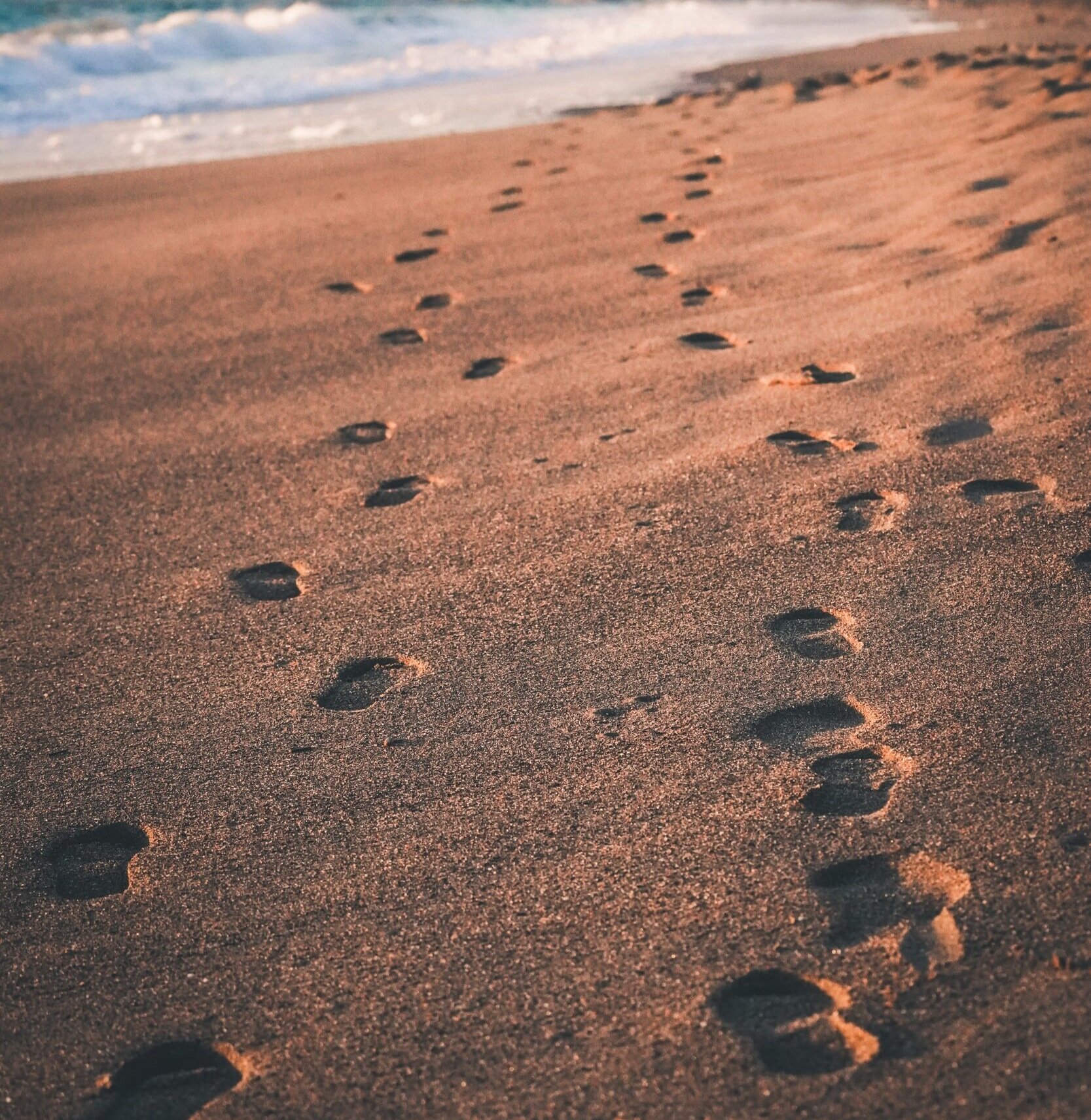 Wisdom’s Path to Life