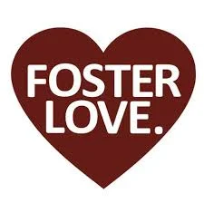 What does foster mean?  