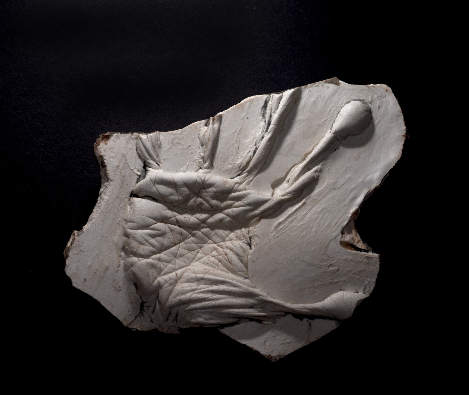 Wendy Richmond hand sculpture fossil