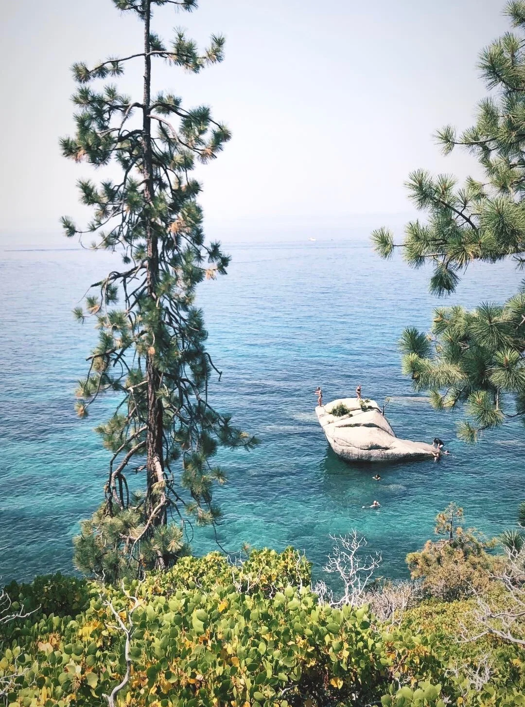 Big Blue, Boulders, and Bonsai Trees