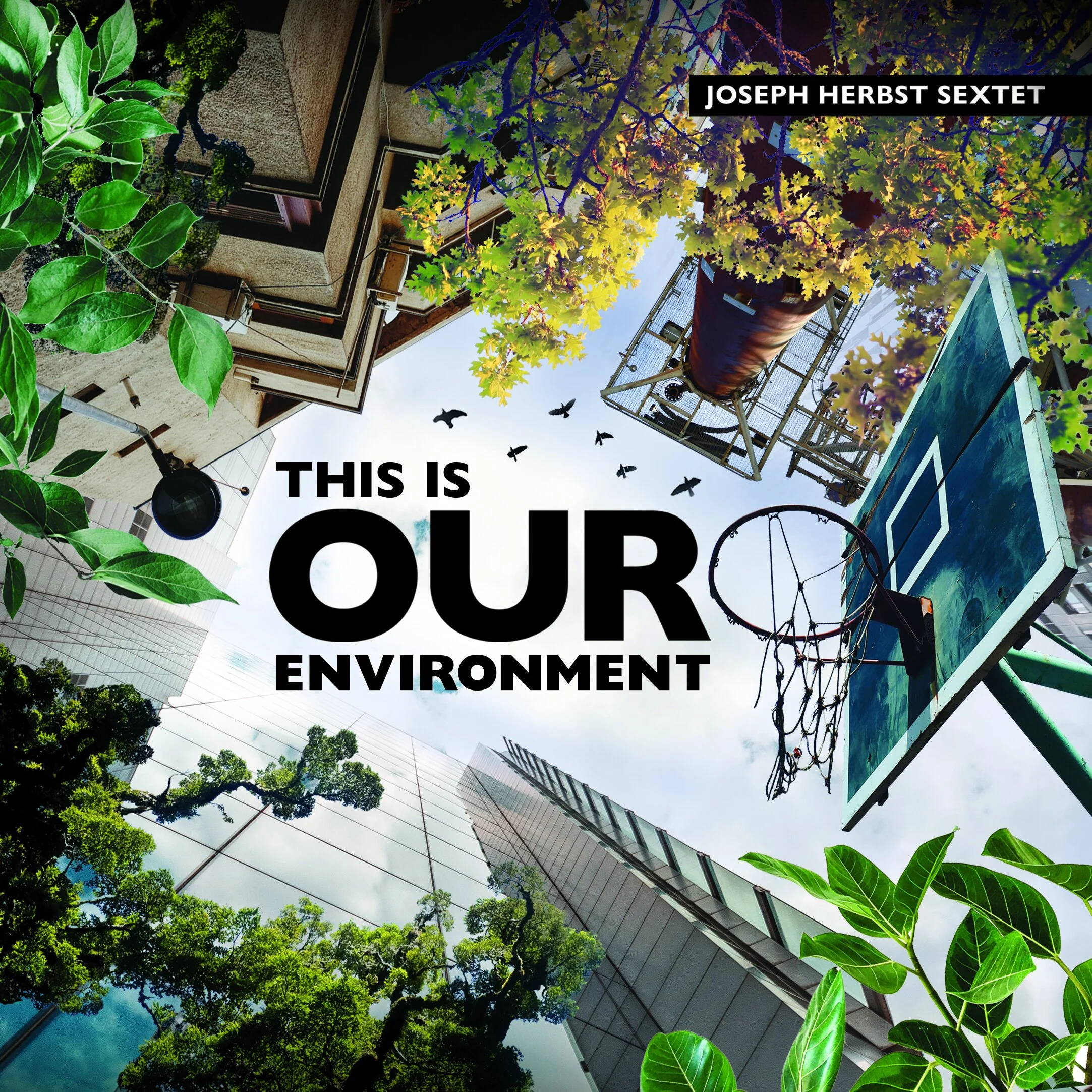 Album artwork by Molly Jane Design