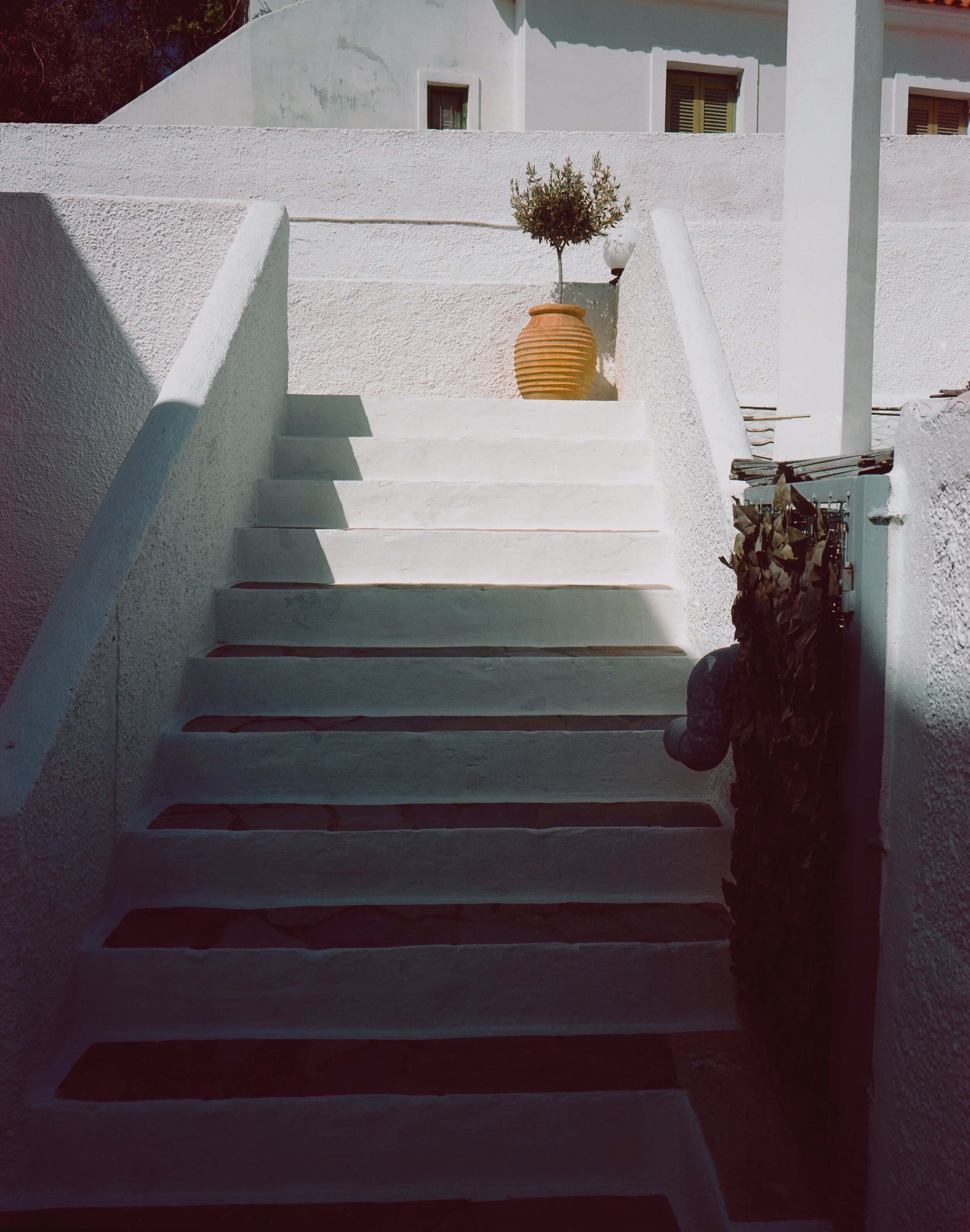 Clarissa's Flower Pot copy.jpg