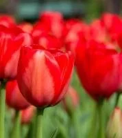 e06100ce-8153-4c44-870d-e09c02018964-thumbnail.jpg.webp