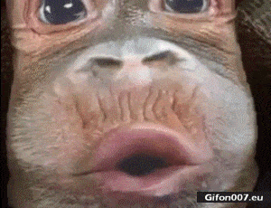 unnamed.gif
