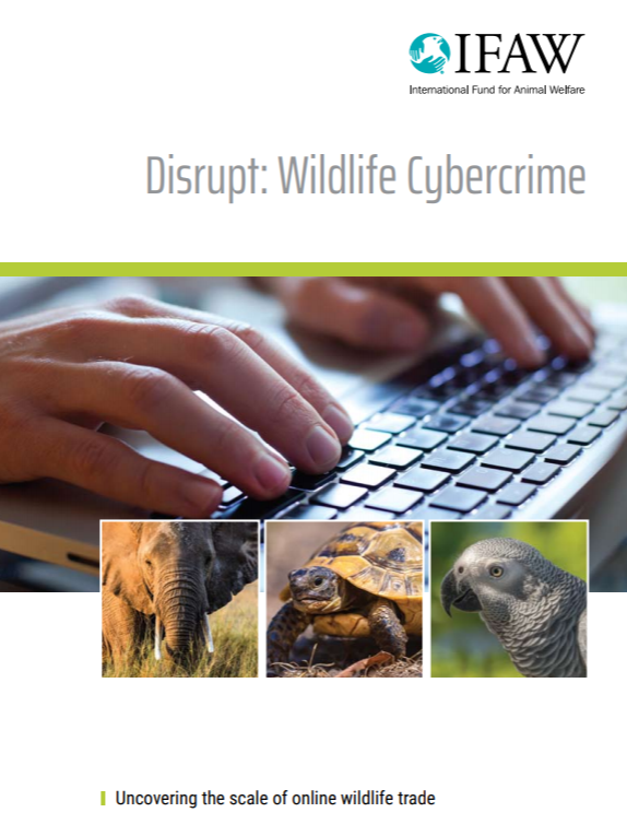 Disrupt: Wildlife Crime | Uncovering the Scale of Online Wildlife Trade