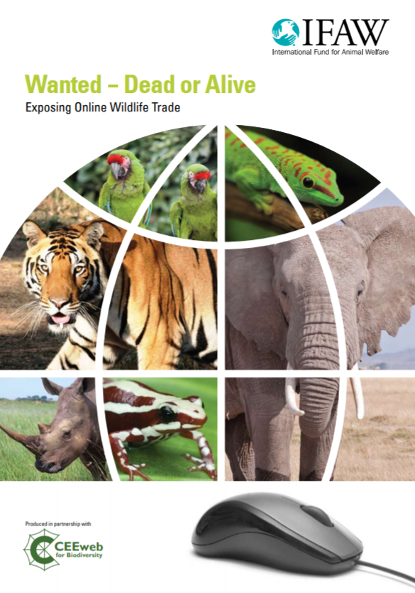 Wanted - Dead or Alive: Exposing Online Wildlife Trade