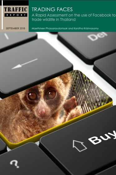 Trading Faces - A rapid assessment on the use of Facebook to trade wildlife in Thailand