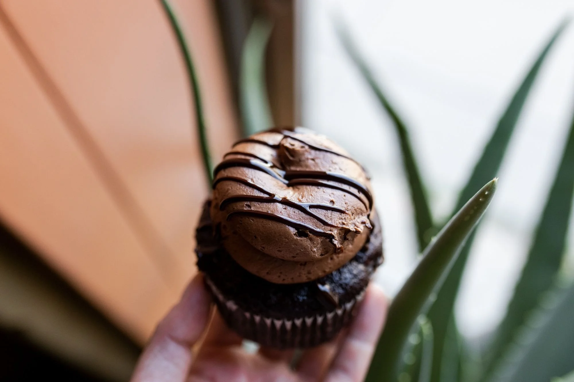 Vegan chocolate cupcake 