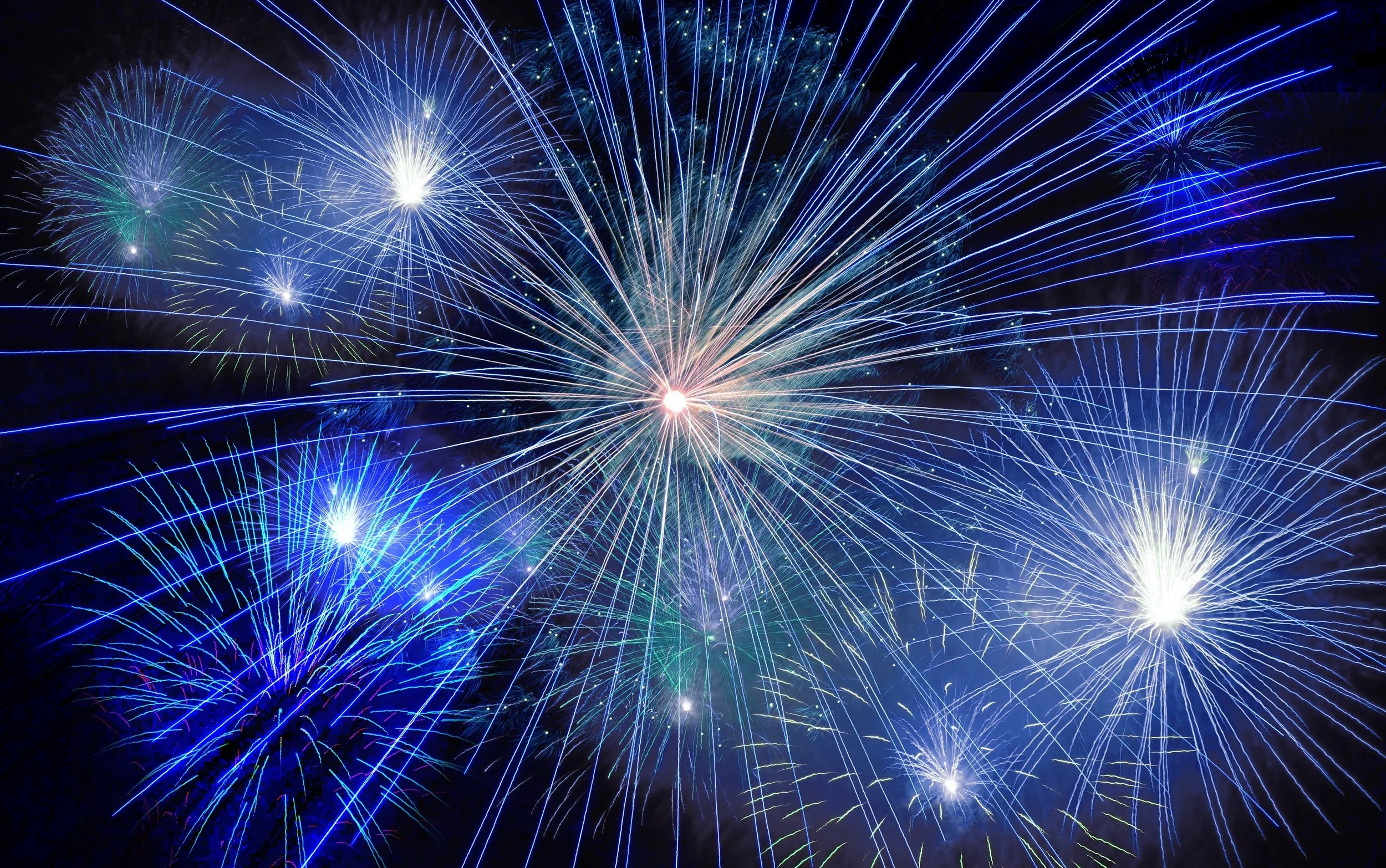 2015-2016-fireworks-40663.jpg