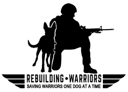rebuilding-warriors.png