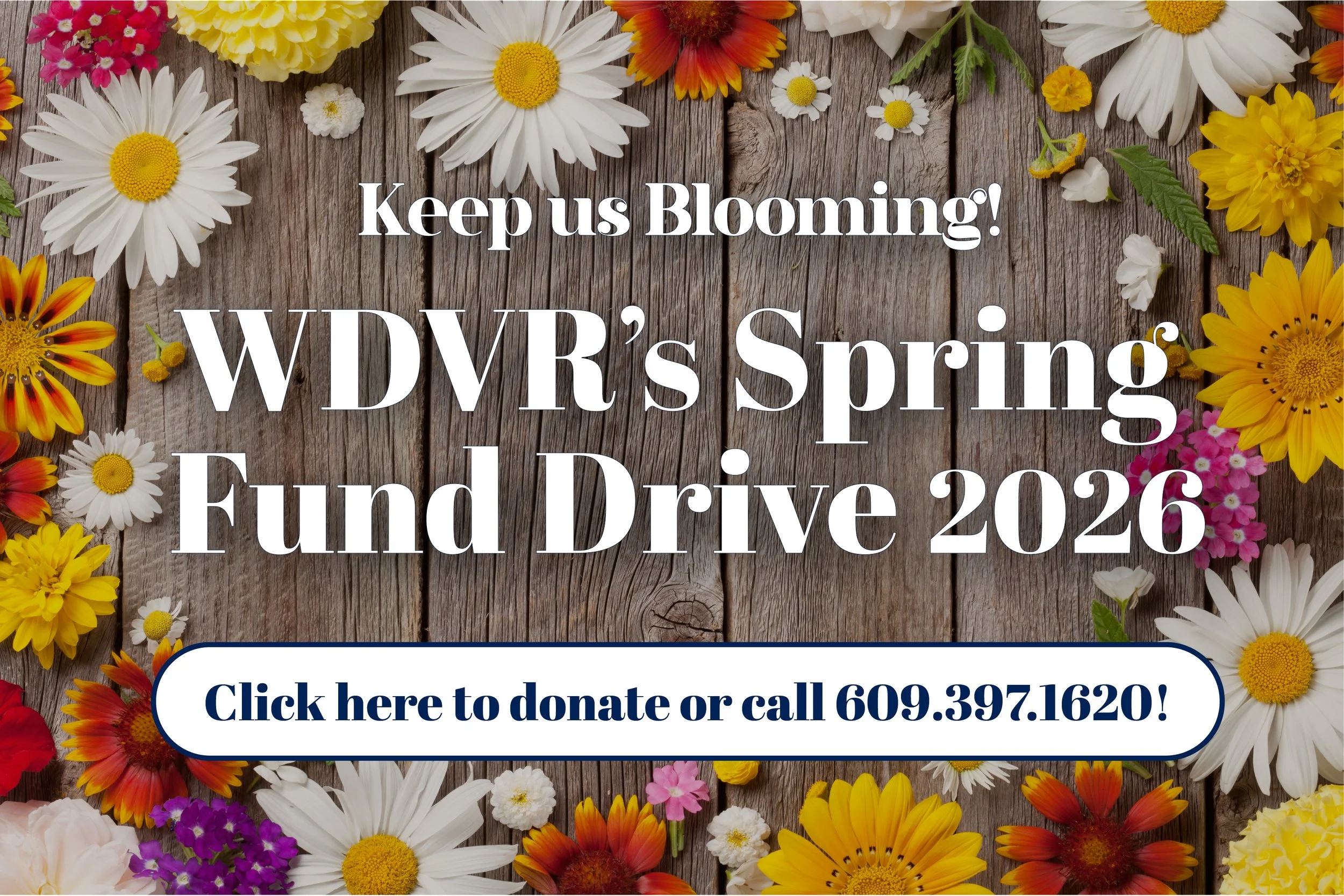 __WDVR_Carousel_Spring Fund drive_2026.jpg