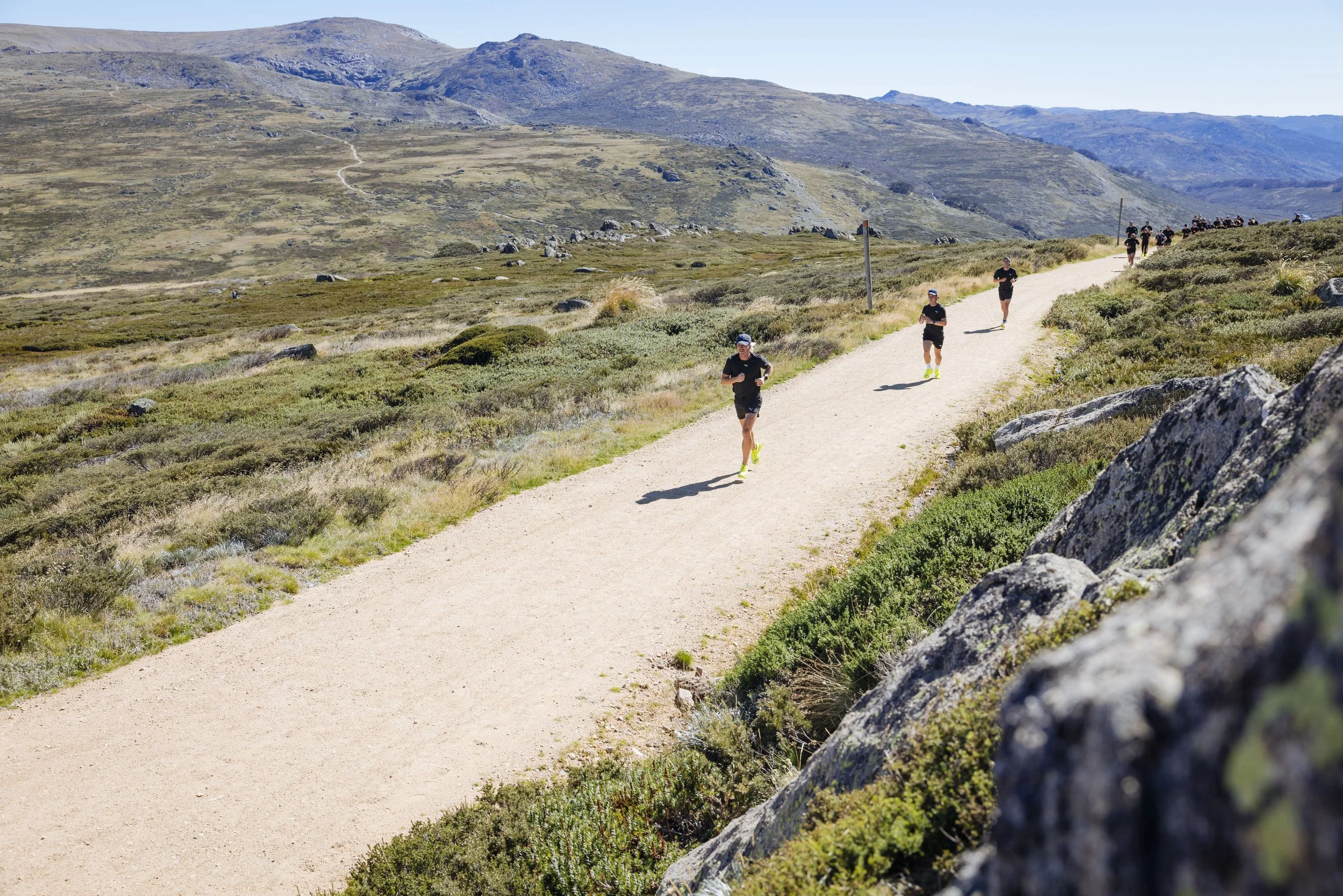 Puma | Go Wild Campaign